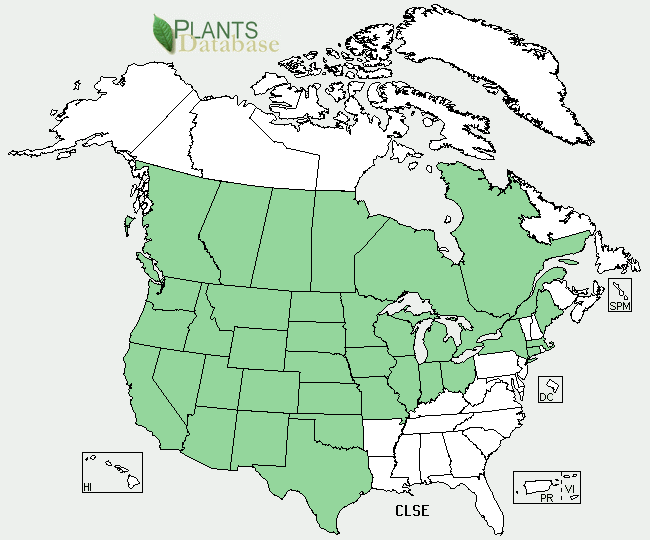 Cleome Range Map
